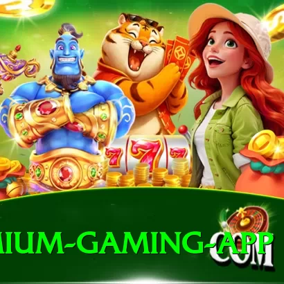 4sgame Premium Gaming App - 2